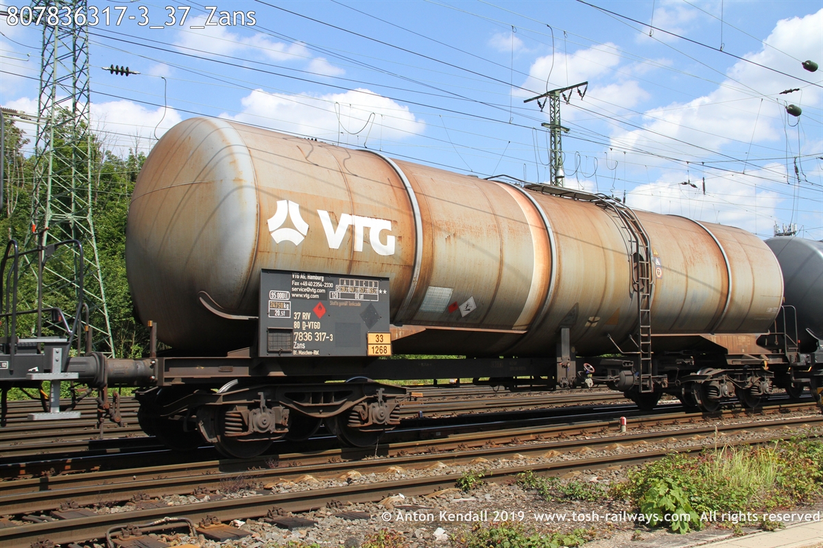 807836317-3_37_Zans.JPG